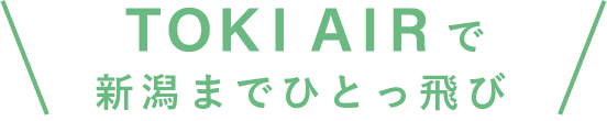 TOKI AIR で新潟までひとっ飛び